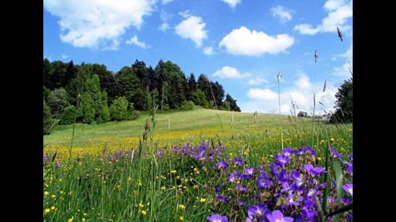 Дипак Чопра. 7 духовных законов успеха