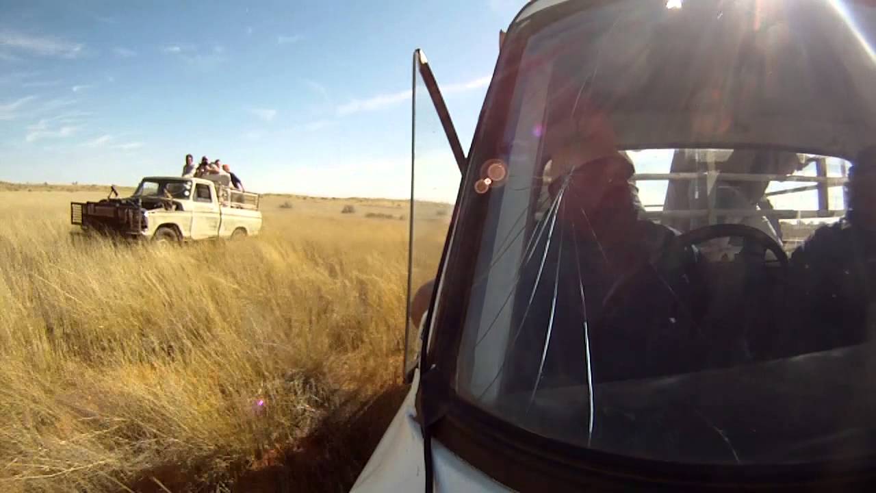 Kalahari Gemsbok Capture