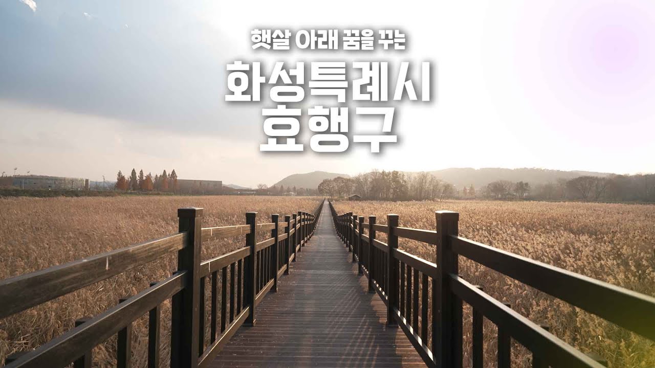 화성특례시 효행구 편│햇살 아래 꿈을 꾸는 효행☀️ #화성특례시 #효행구