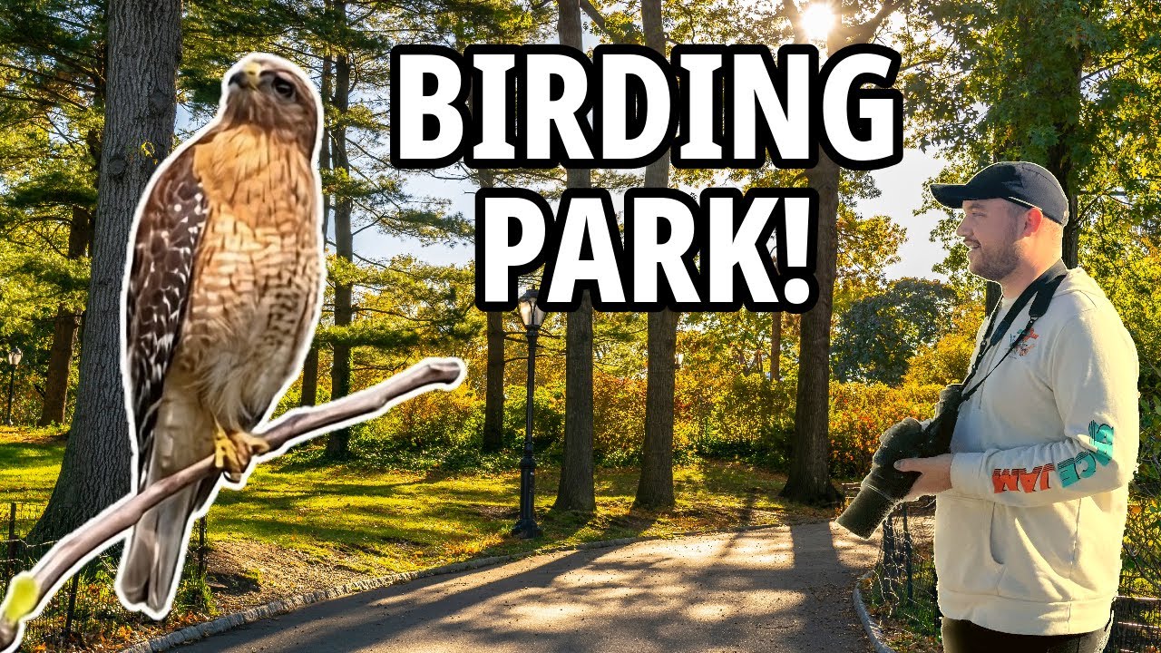 BEST park for birding in Southern California?