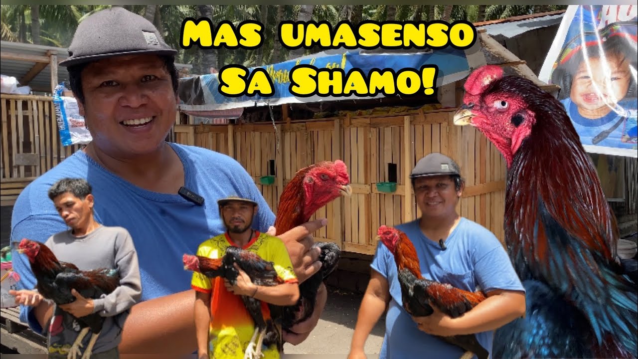 NEGOSYANTE, MAS UMASENSO SA SHAMO!