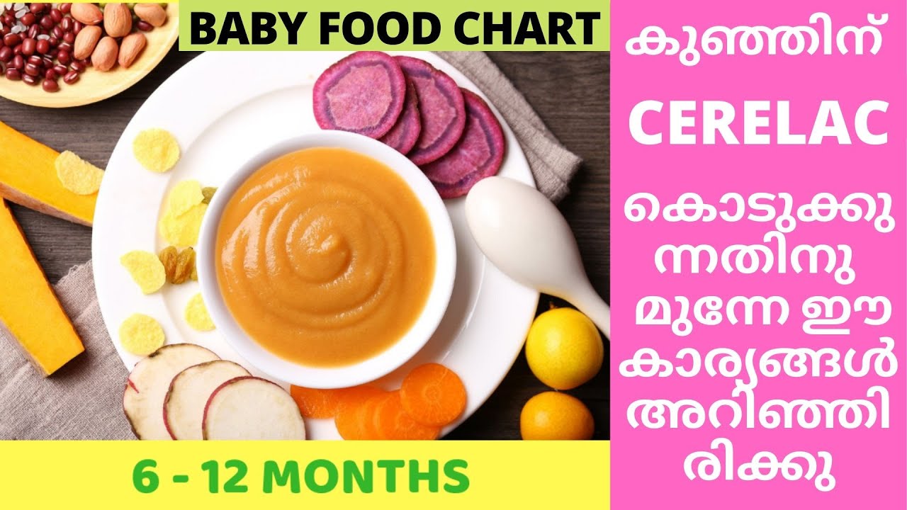 6 to 12 Months Baby Foods Malayalam|Is Cerelac Safe?