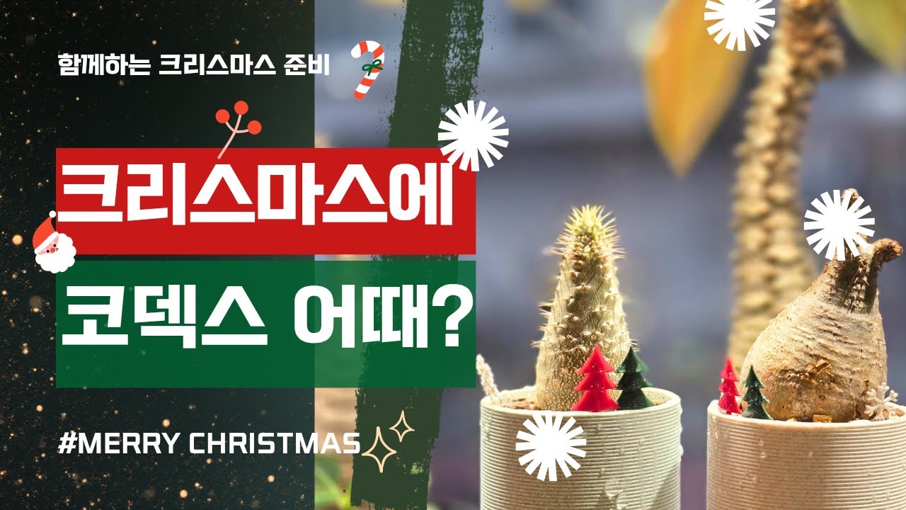 3D POT 으로 크리스마스 분위기 즐겨보실까요?