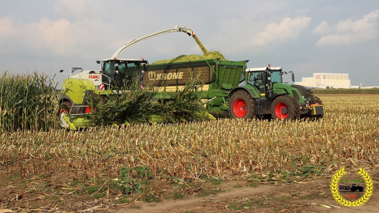 Claas Jaguar 970 / Claas Xerion / Neu Shredlage - Häckseln / LU Carsten Walkling / Maisernte 2017