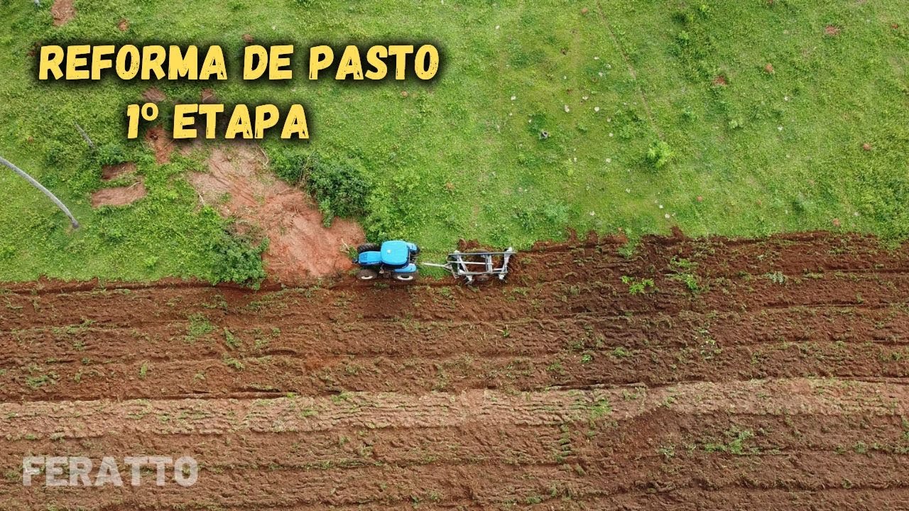 Reforma de Pasto - Gradagem