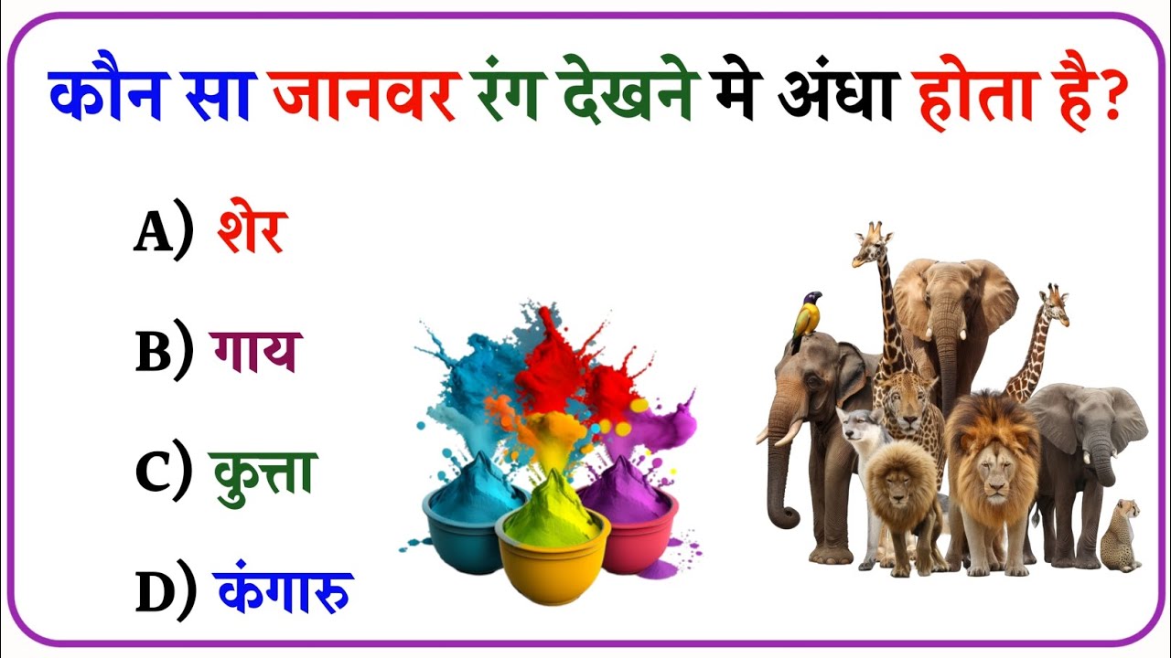 GK || GK In Hindi || GK Question || GK Very Very Important Question || Gk Quiz || Intresting gk 