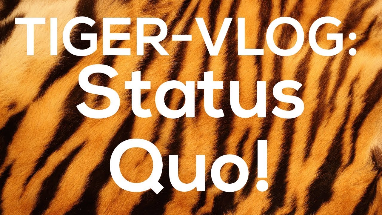 Status Quo! - TigerVLOG