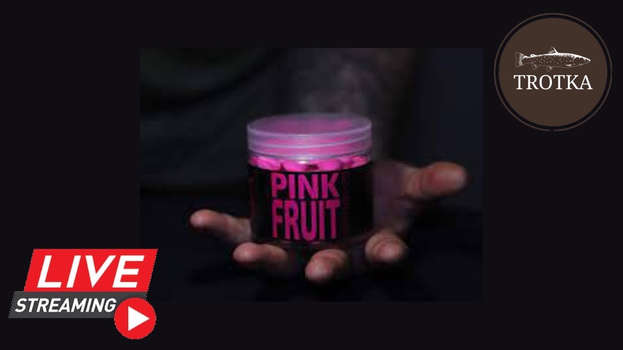 Wielki powr&oacute;t Munch Baits