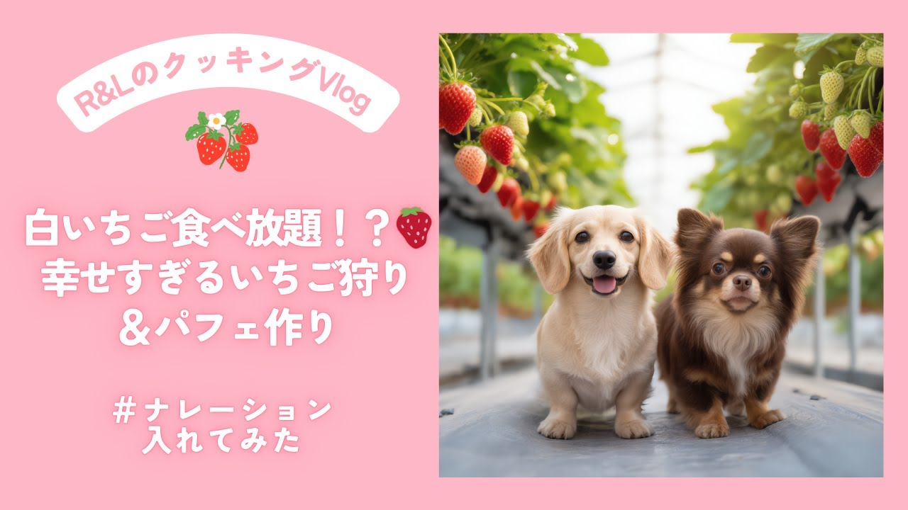 白いちご食べ放題！？🍓 幸せすぎるいちご狩り＆パフェ作り