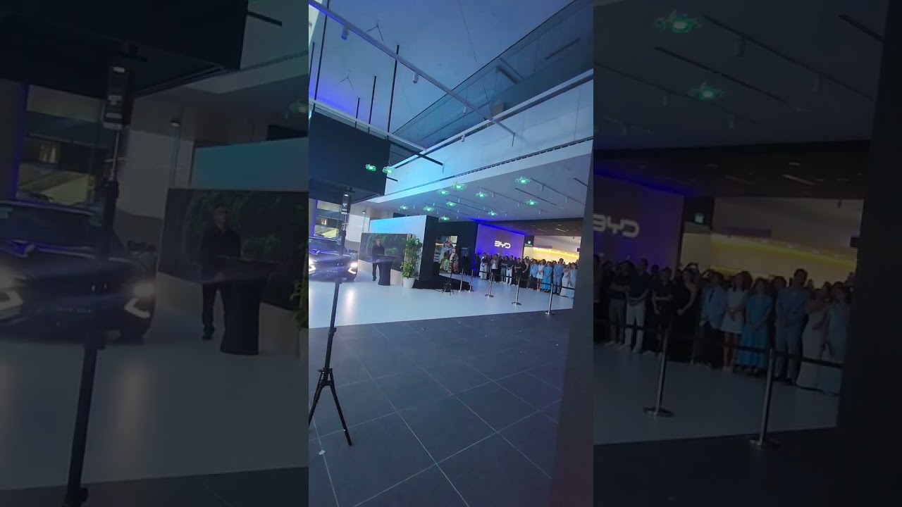 BYD drone show