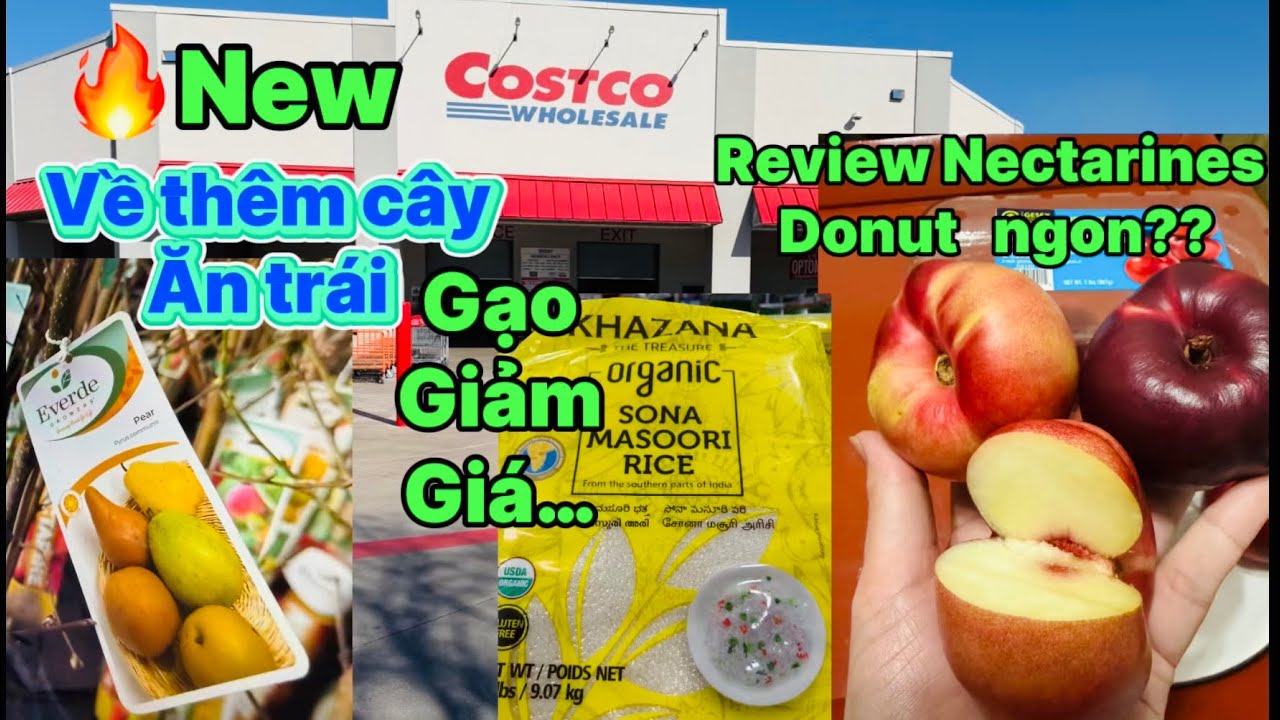 #279🇺🇸 chợ Costco về thêm cây ăn trái🍒🥭 gạo giảm giá $.￼Review ￼ bánh Nhật, trái ￼Nectarines Donut…