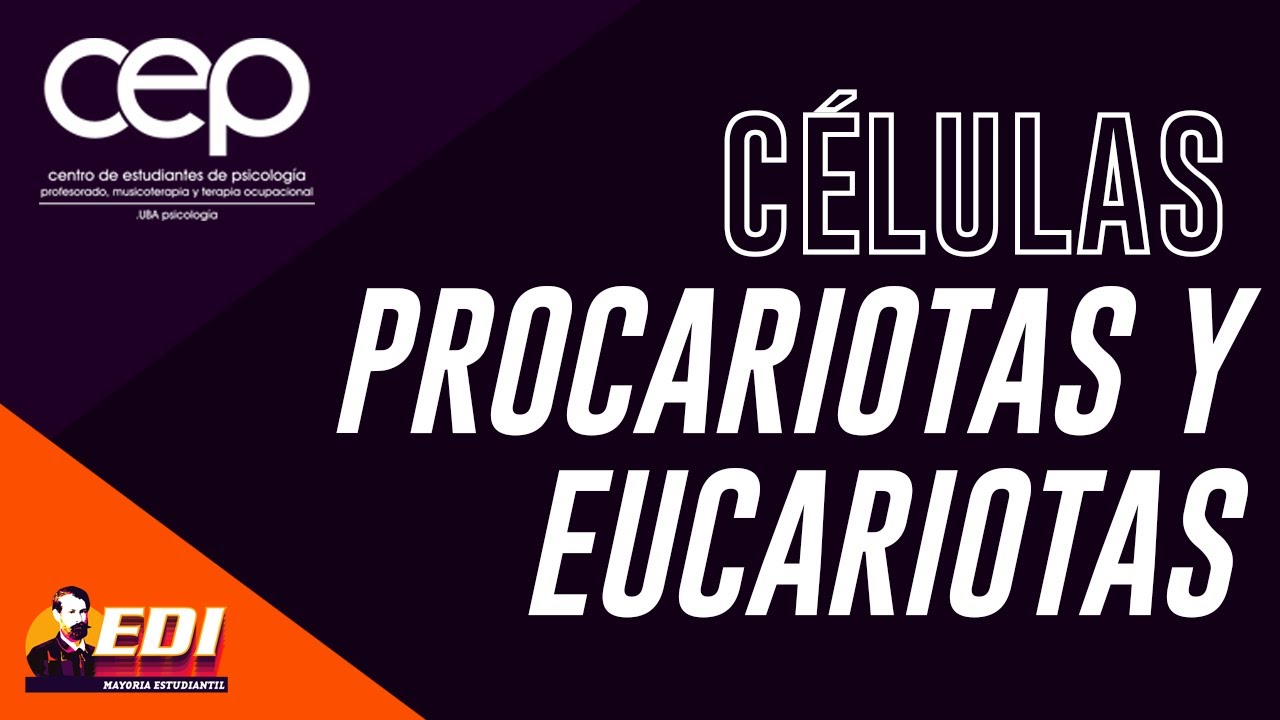 C&Eacute;LULAS PROCARIOTAS Y EUCARIOTAS - CBC