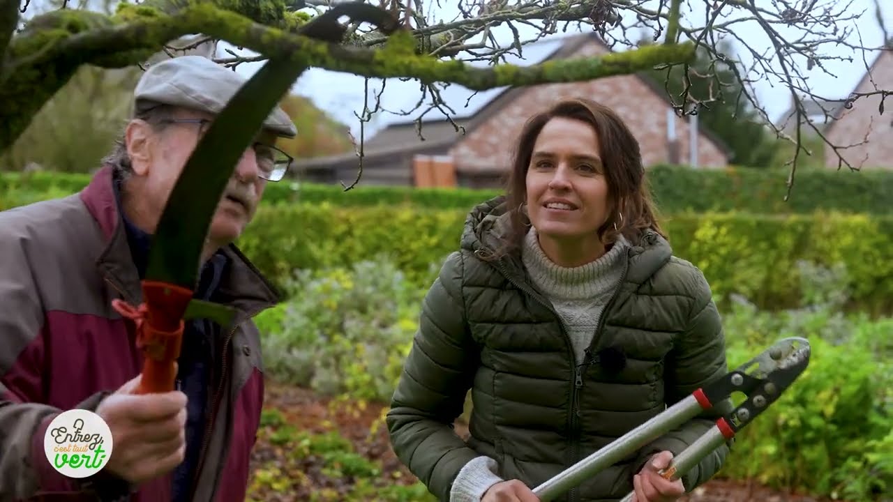Comment tailler ses arbres fruitiers avant le 15 mars ?