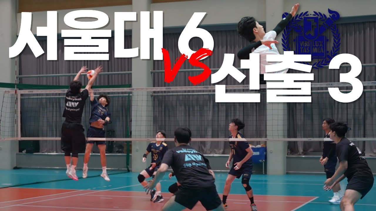 서울대는 배구도 잘할까?