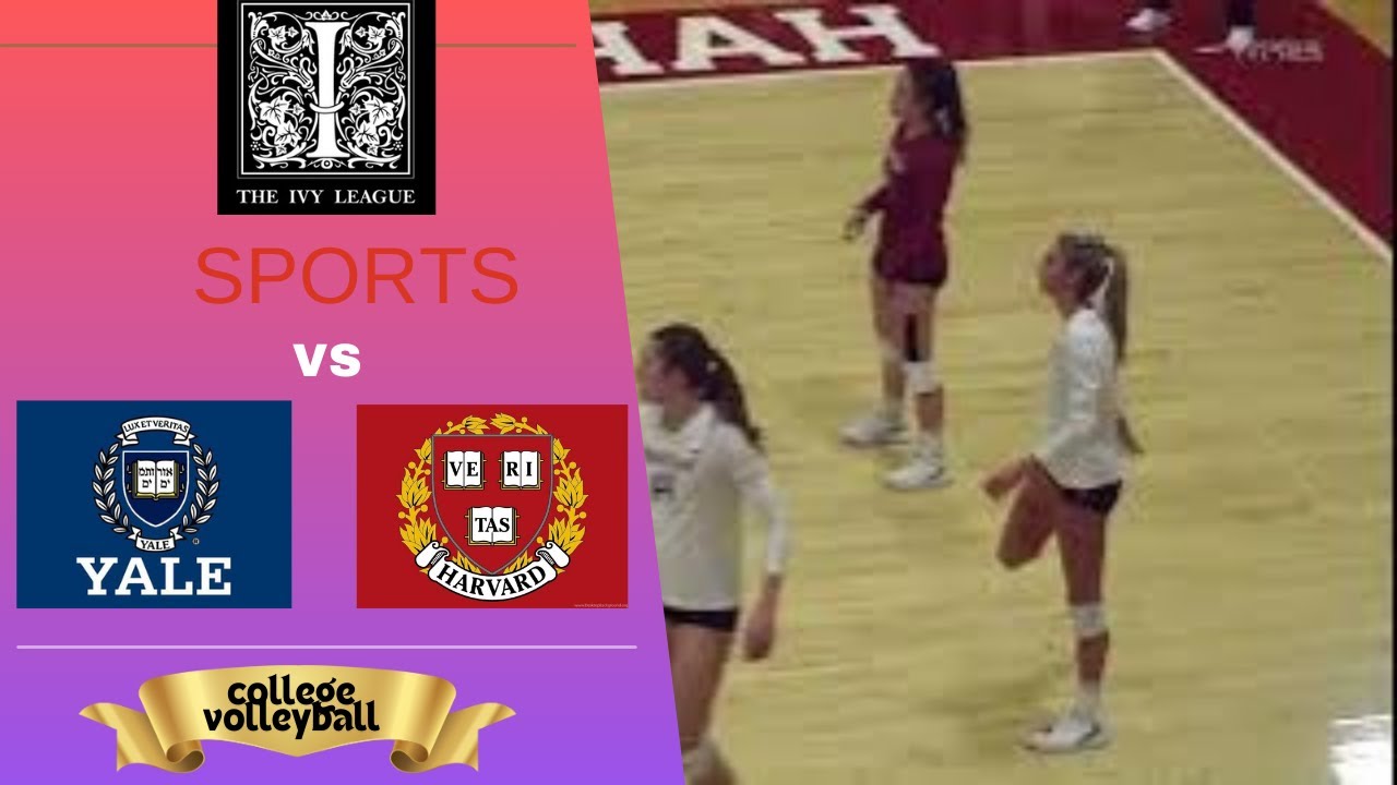 Harvard vs Yale Ivy League Women's Volleyball Match Recap and Highlights 2024