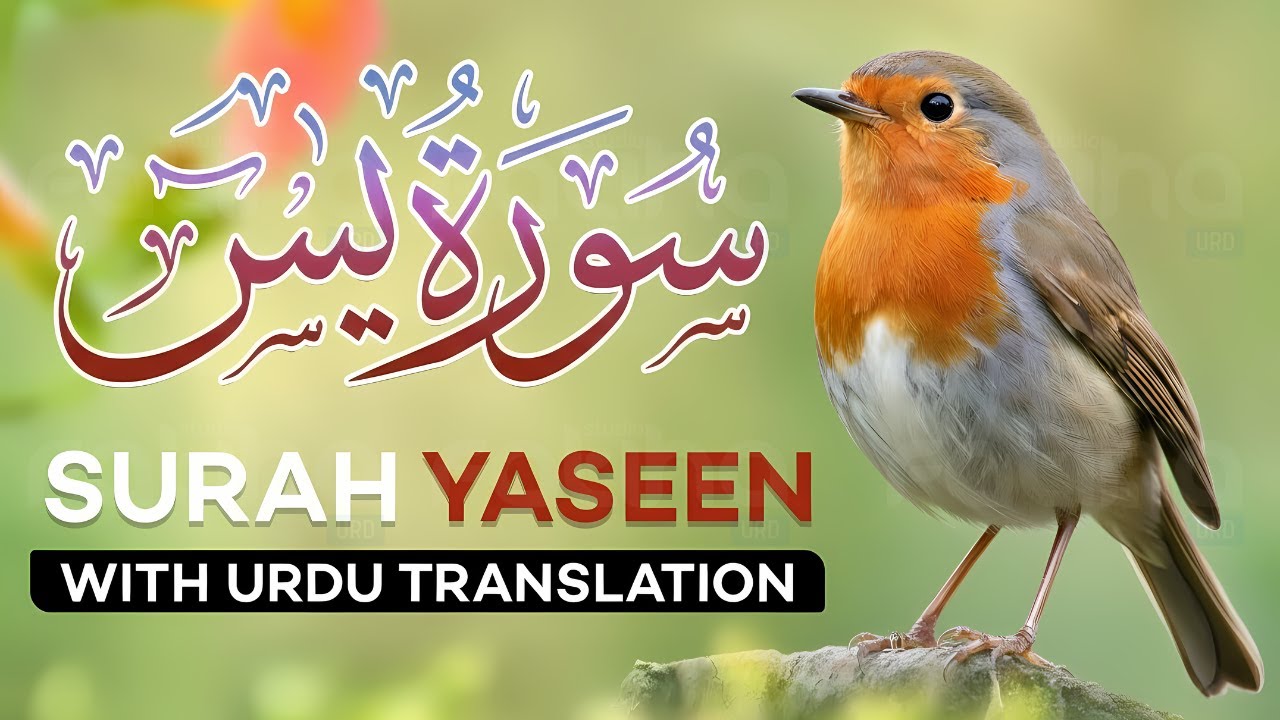 Surah Yaseen (Yasin) with Urdu Translation | Quran Tilawat Beautiful Voice | Hindi Translation