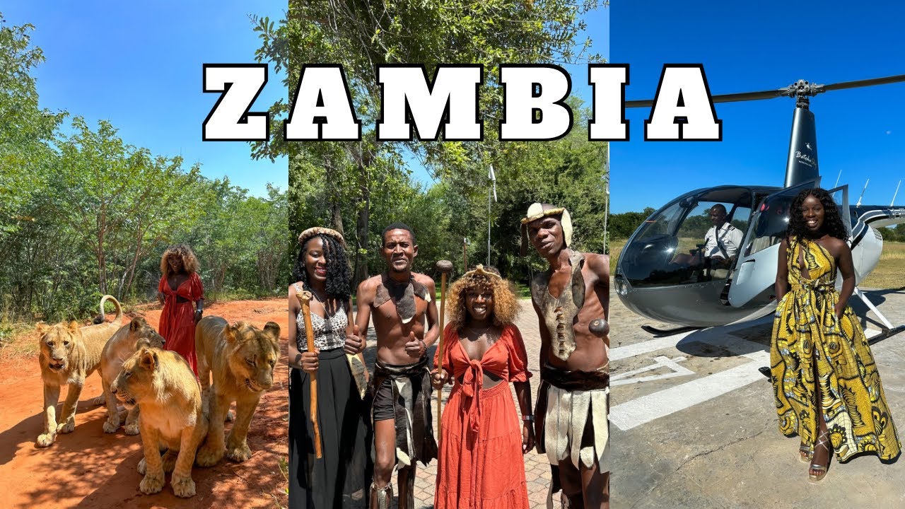 Walking with LIONS, Helicopter over Victoria Falls, Steam train Dinner, Clubs| Staying at Avani