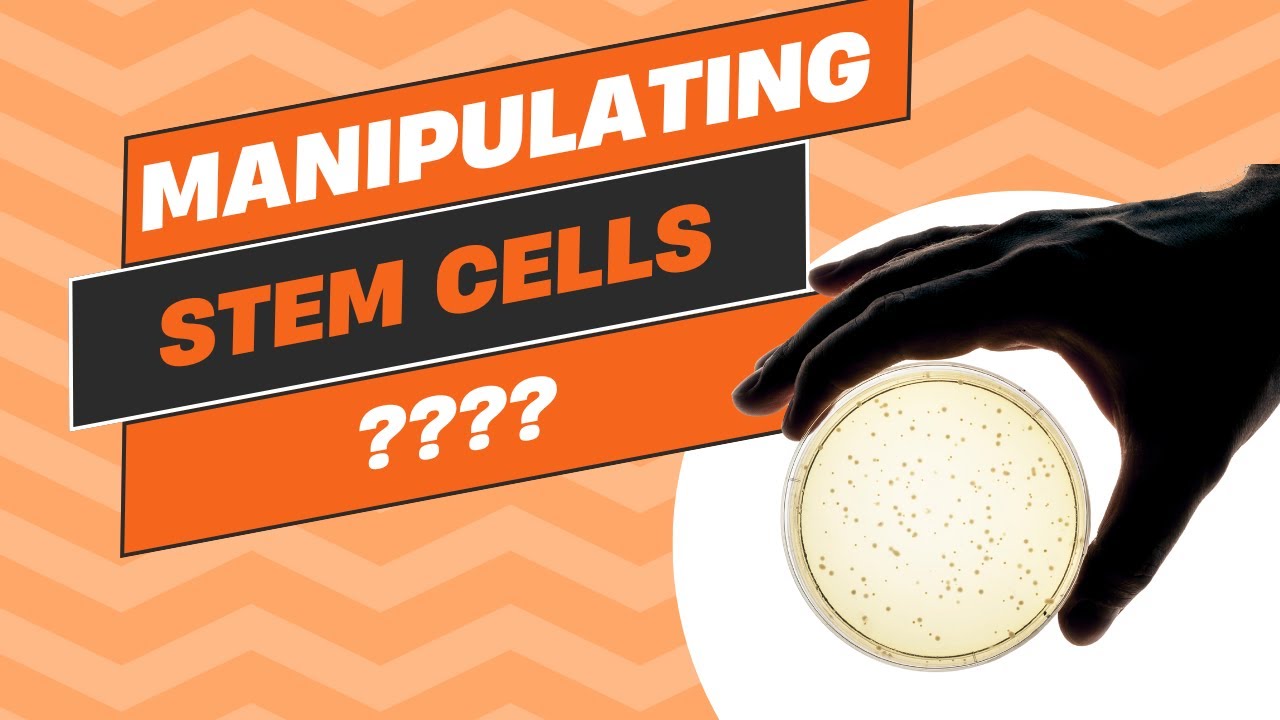 🔬 Why You Can&rsquo;t Just Manipulate Stem Cells in the U.S. 🇺🇸 | Stem Cell Laws Explained