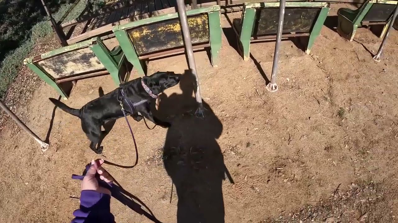 Finney - Rawhide Ranch Elite - Archery search - 1/7/24