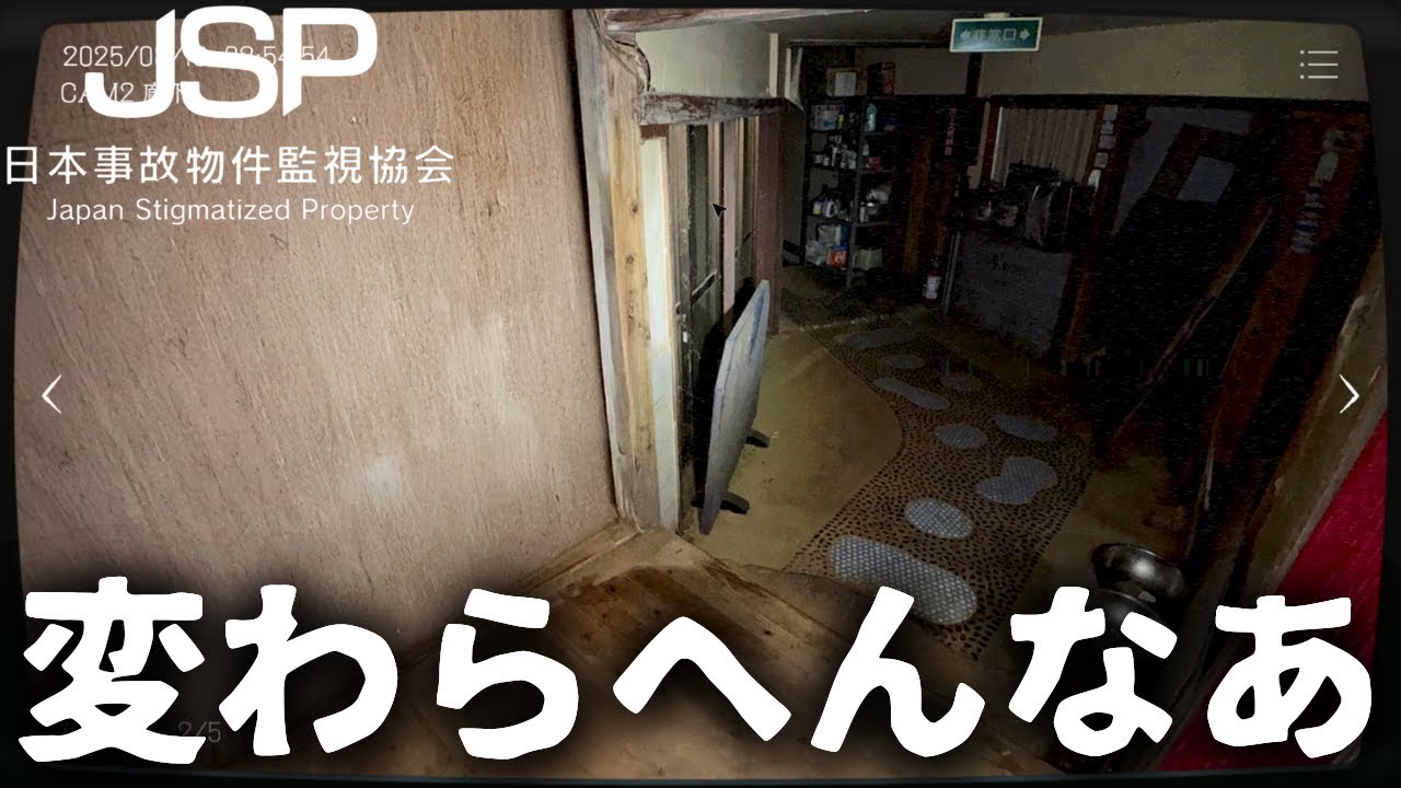 壁が生えても気づかない男【日本事故物件監視協会 JSP】