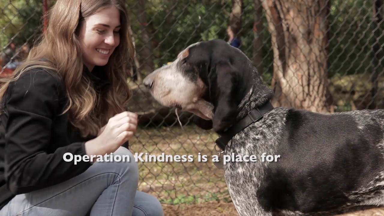 Who we are | Operation Kindness