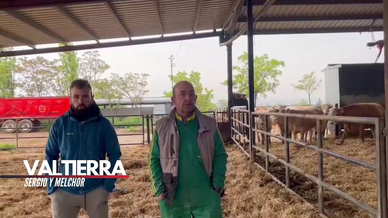 Ciclo cerrado. Nuestras terneras de Valtierra 🐂