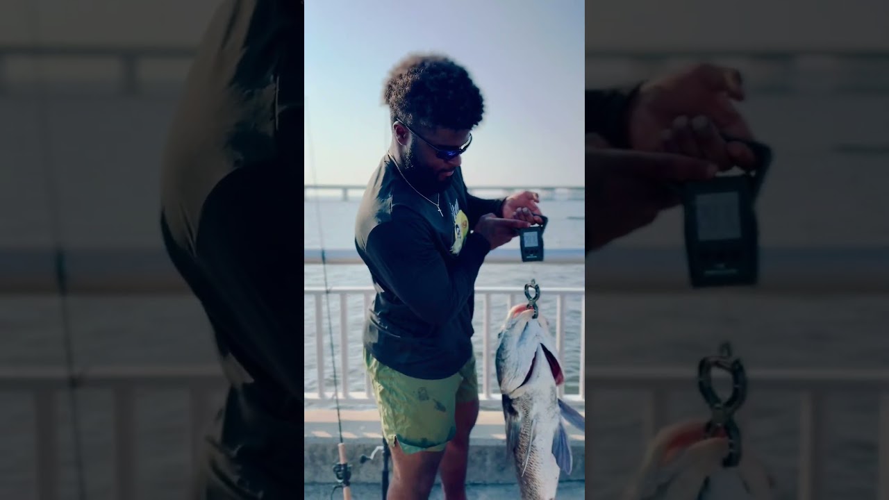 IG: @trillfishingclub.tfc    #saltlife #fishing #fish #blackdrum #drumspots #explore #olympics