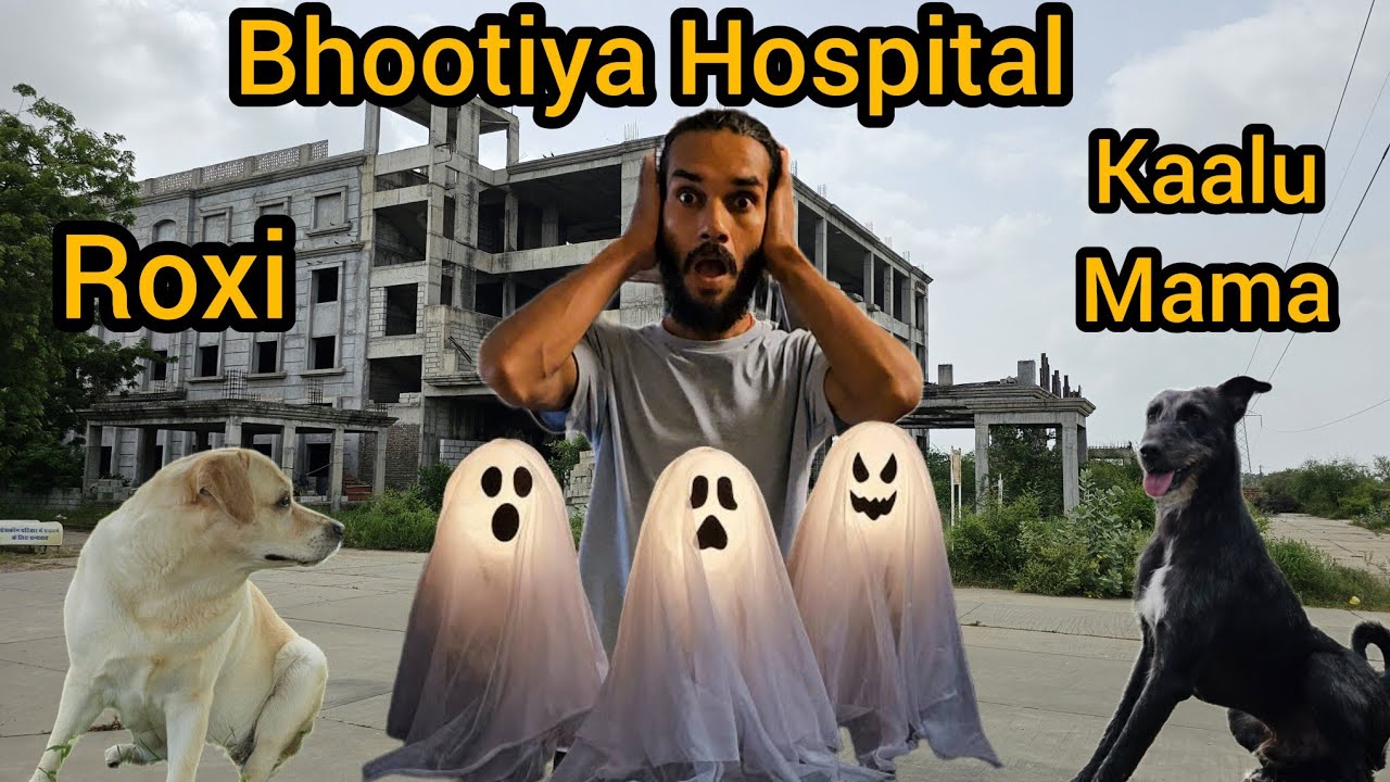 Kaalu Or Roxi || Kaalu Mama Or Bhootiya Hospital 😱 @ANIMALS NEED PEOPLE