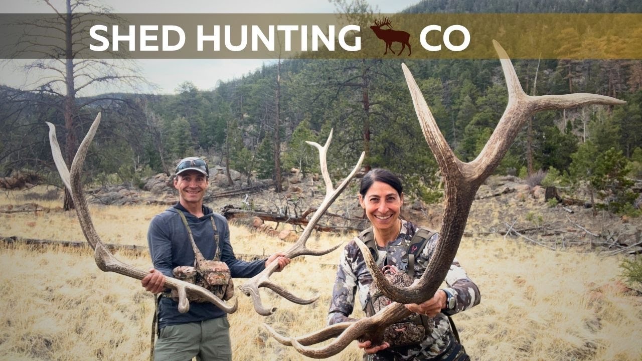 Epic Backcountry Elk Shed Hunt | Spring 2025