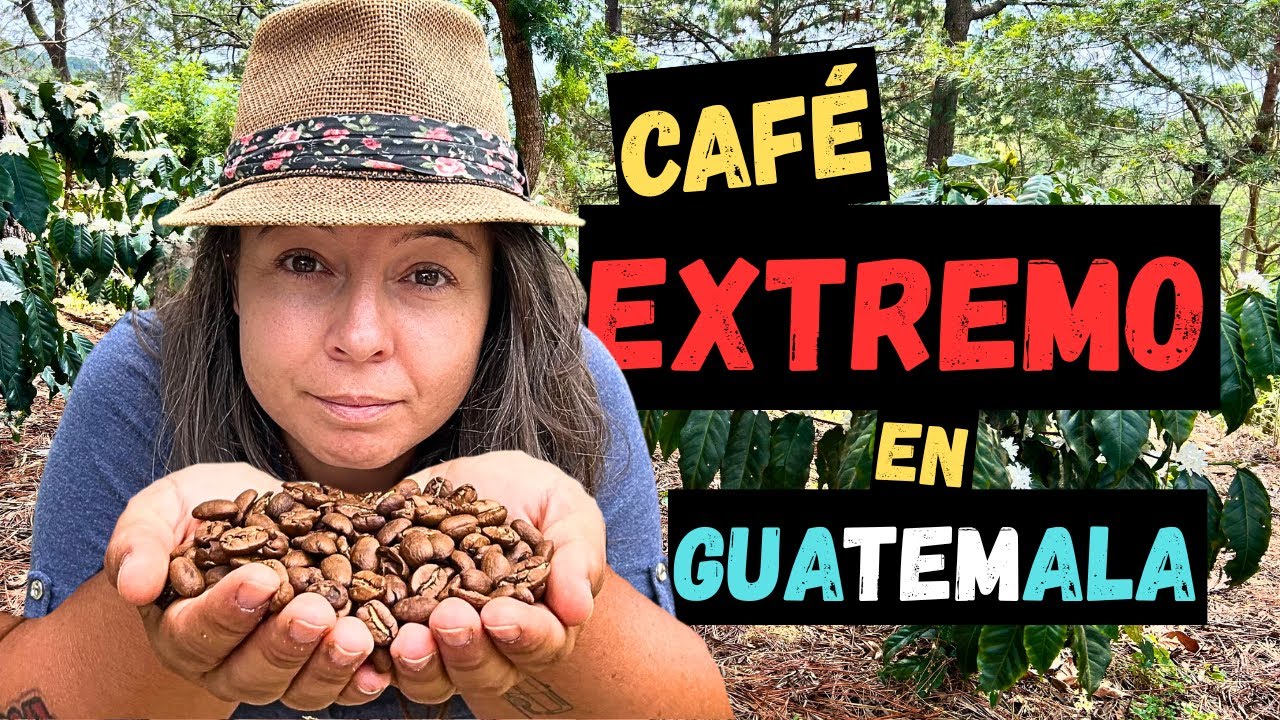 😳DIFÍCIL, ASÍ se produce el café de Altura en Guatemala