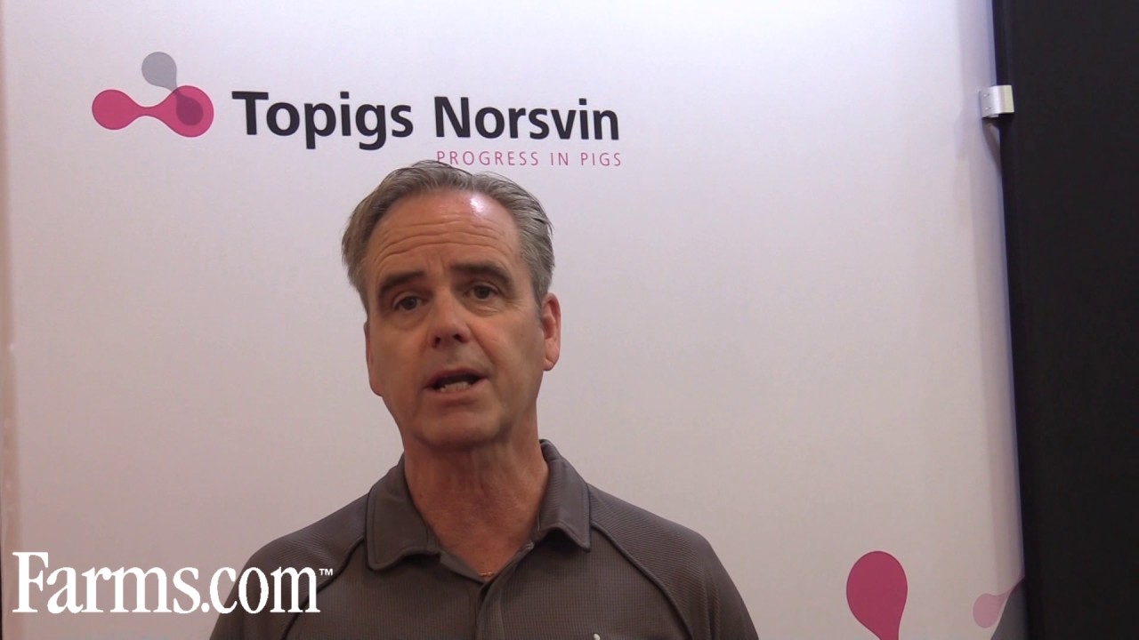 Topigs Norsvin Canada to build state of the art research facility!