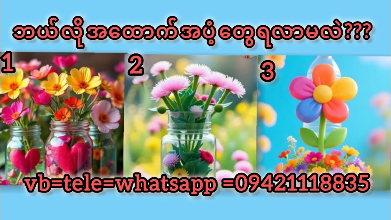 ဘယ်လိုအထောက်အပံ့တွေရလာမလဲ???