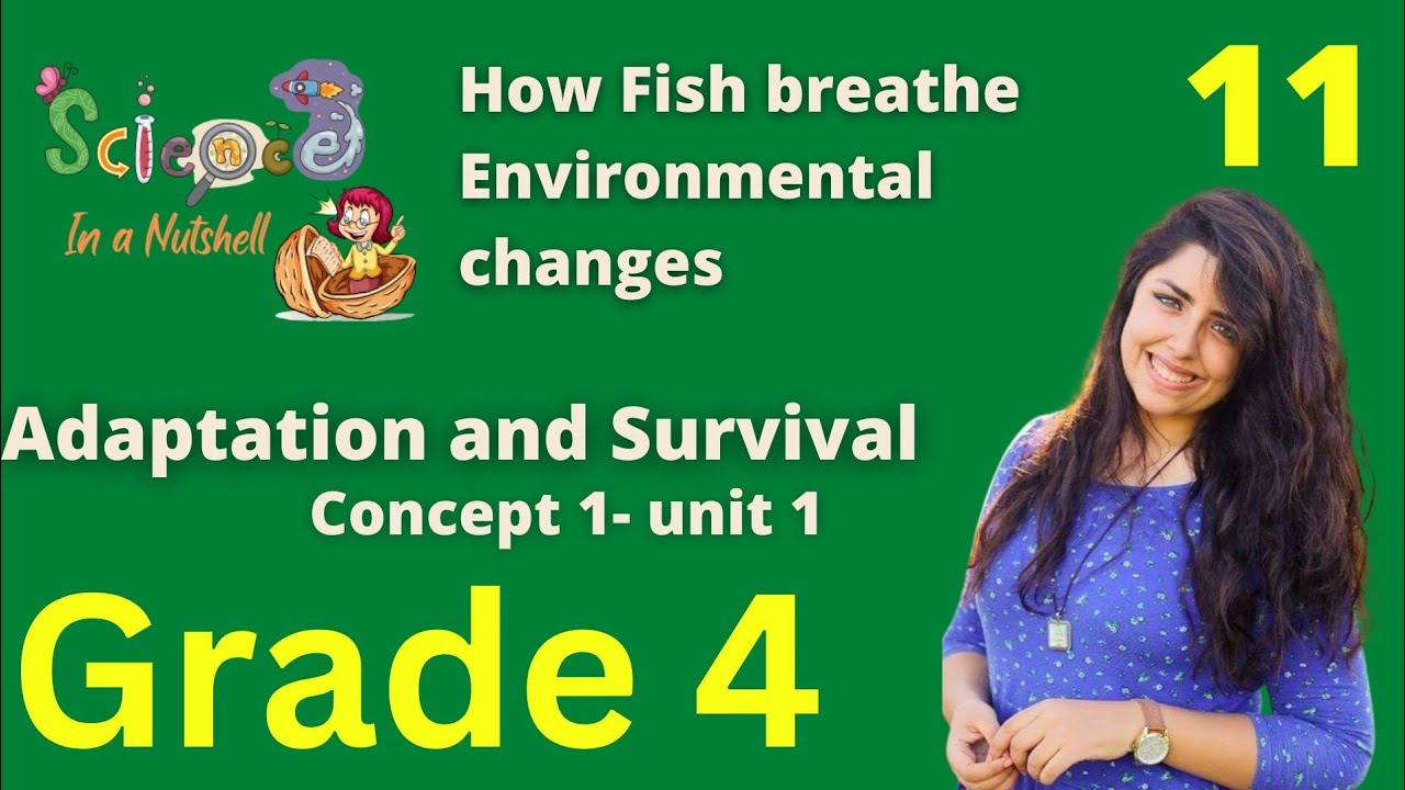 Science-How Fish breathe- Environmental Changes-Concept 1 - Unit 1-Grade 4-video 11