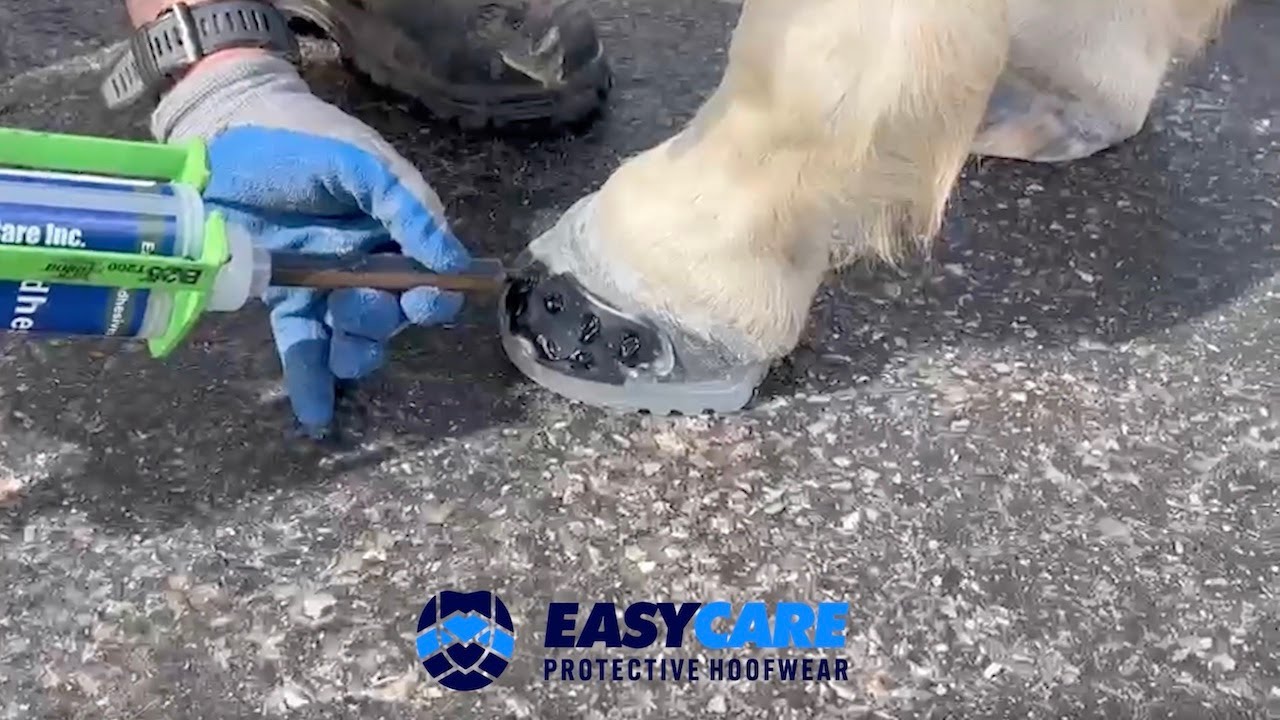 EasyShoe Speed Application