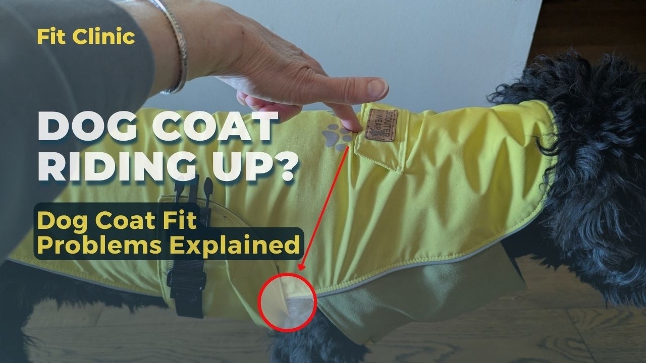 Why Dog Coats Ride Up: Dog Coat Fit Problems Explained