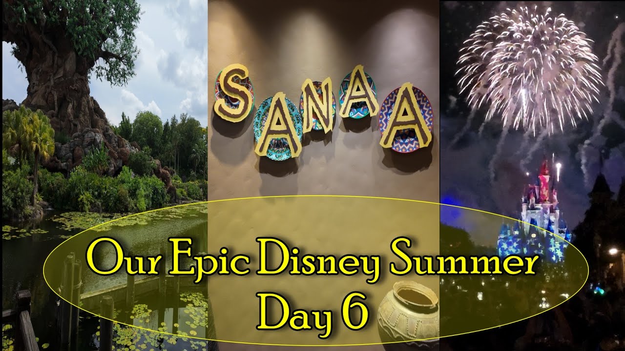 Disney World Day 6 | Sanaa Dinner, Animal Kingdom Shows & Fireworks 🎆