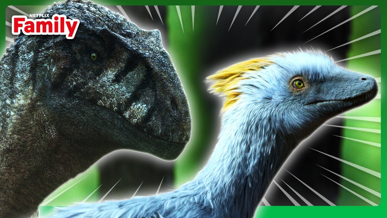 Sinraptor VS Anchiornis | The Dinosaurs | Netflix Family