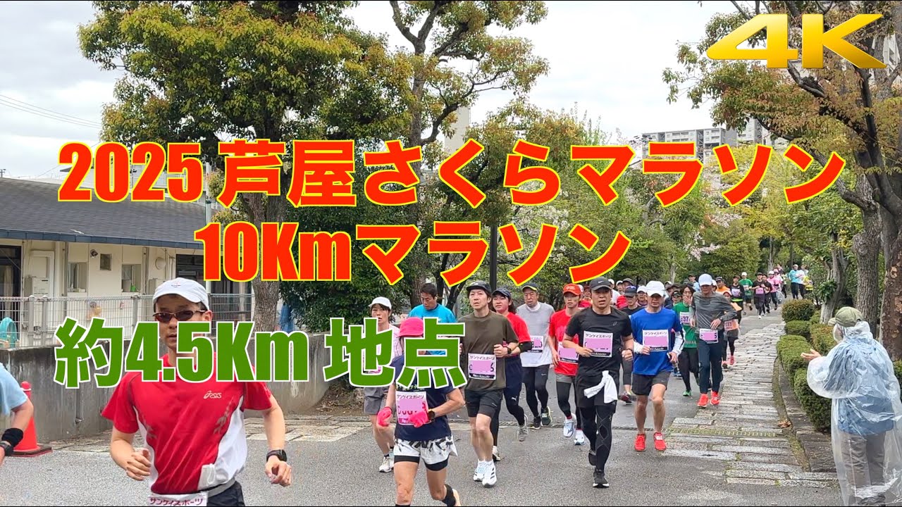 【4K】2025 芦屋マラソン 10Km全ランナー | 芦屋さくらファンラン | 4.5Km地点 | Ashiya 10Km Marathon | All runners at 4.5Km