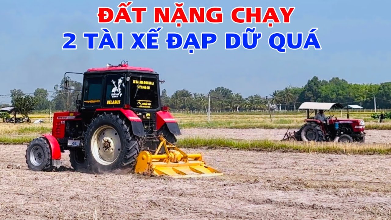 Vừa cắt lúa xong là chủ đất trồng bắp liền làm 2 tài xế tranh thủ chạy cho kịp