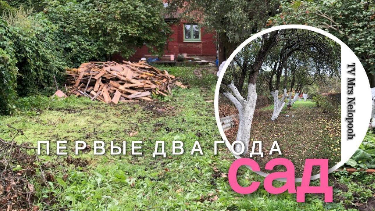 Расчистка  заброшенного сада. Первые два года.