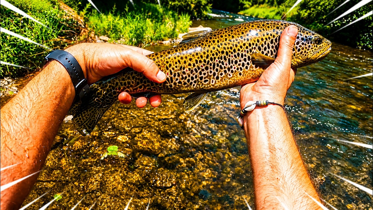 Pesca de truchas gigantes en las altas montañas