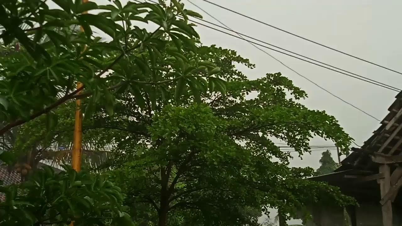 Fall Asleep in 3 Minutes: The Ultimate Stormy Night Ambience