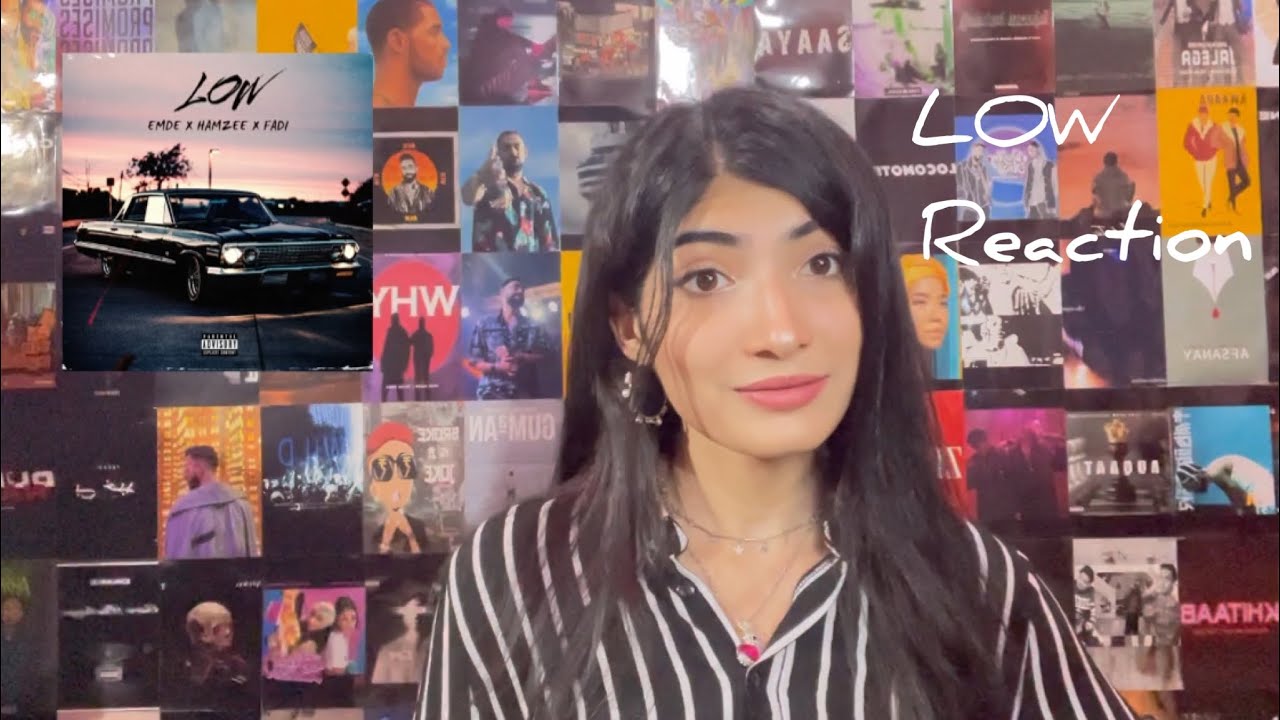 LOW - FADI Ft. EMDENATION X HAMZEE | REACTION!