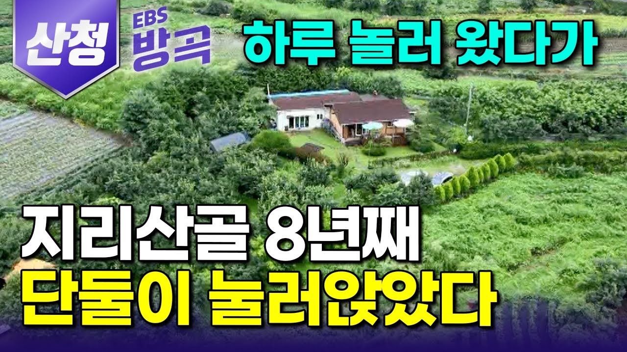 [경남 산청] 