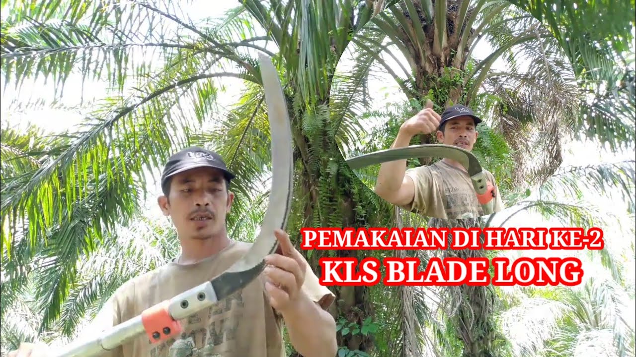 KLS BLADE LONG MEMANG MANTAP @Panensawit14