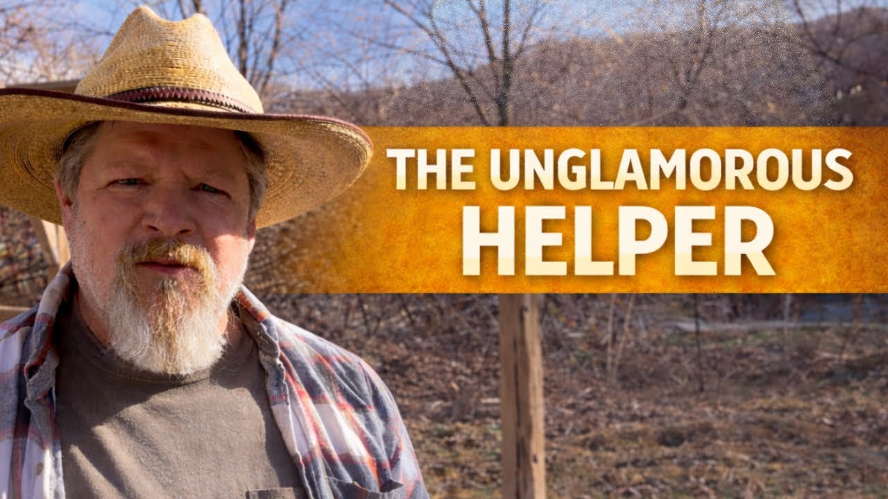 Why Rye Still Makes Sense in Small Gardens