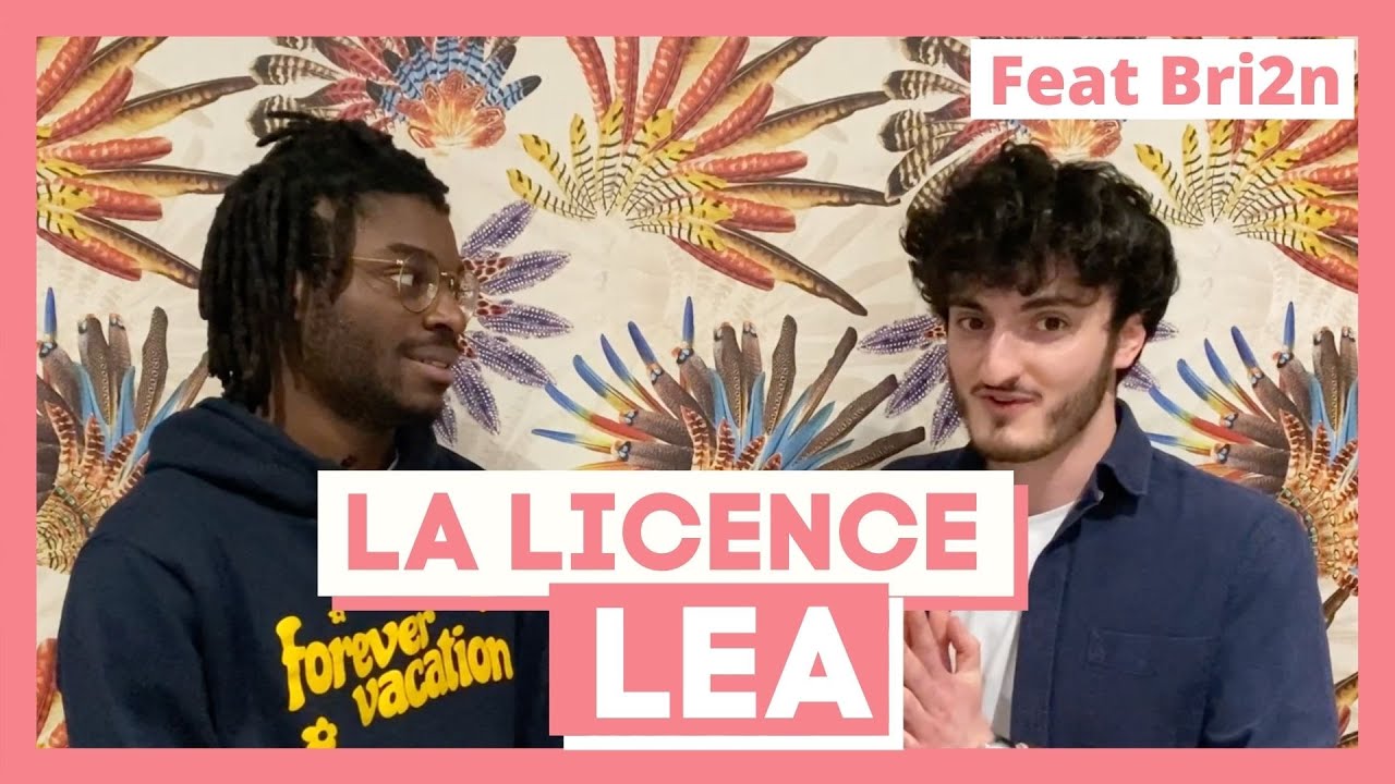 La Licence LEA (Langues Étrangères Appliquées) - Thotis