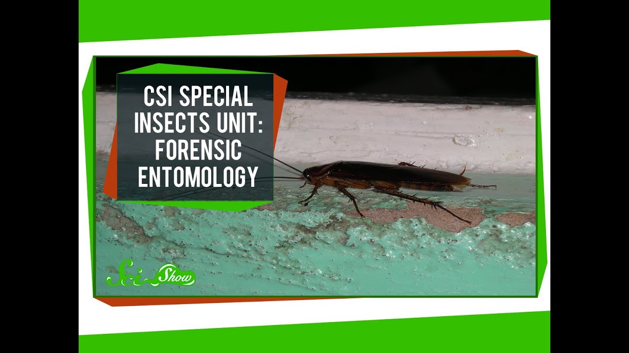 CSI Special Insects Unit: Forensic Entomology