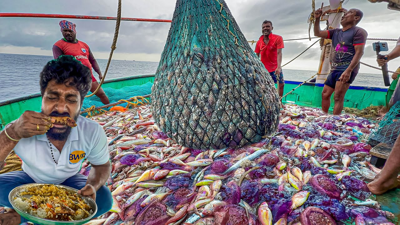 WOW 🤩 Day 1 of Fishing Life! | Huge Squid Catch 🦑 & Delicious Seafood Feast 🤤 | Trawlnet Fishing