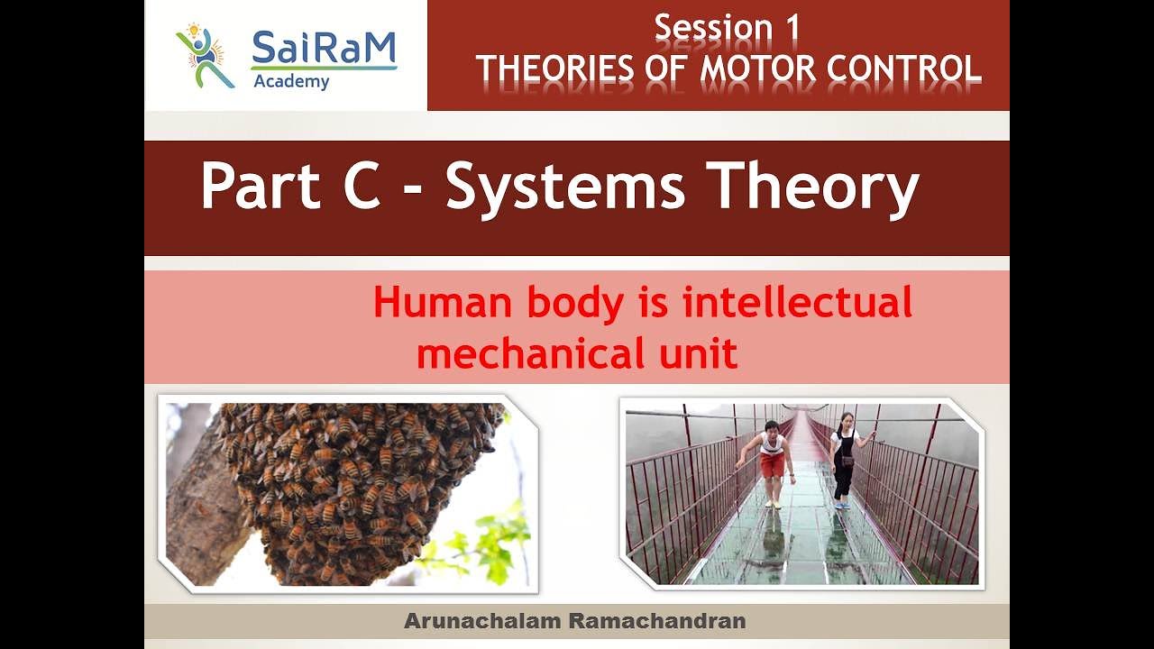 Session 1- Theories Of Motor Control - Part C - Systems Theory